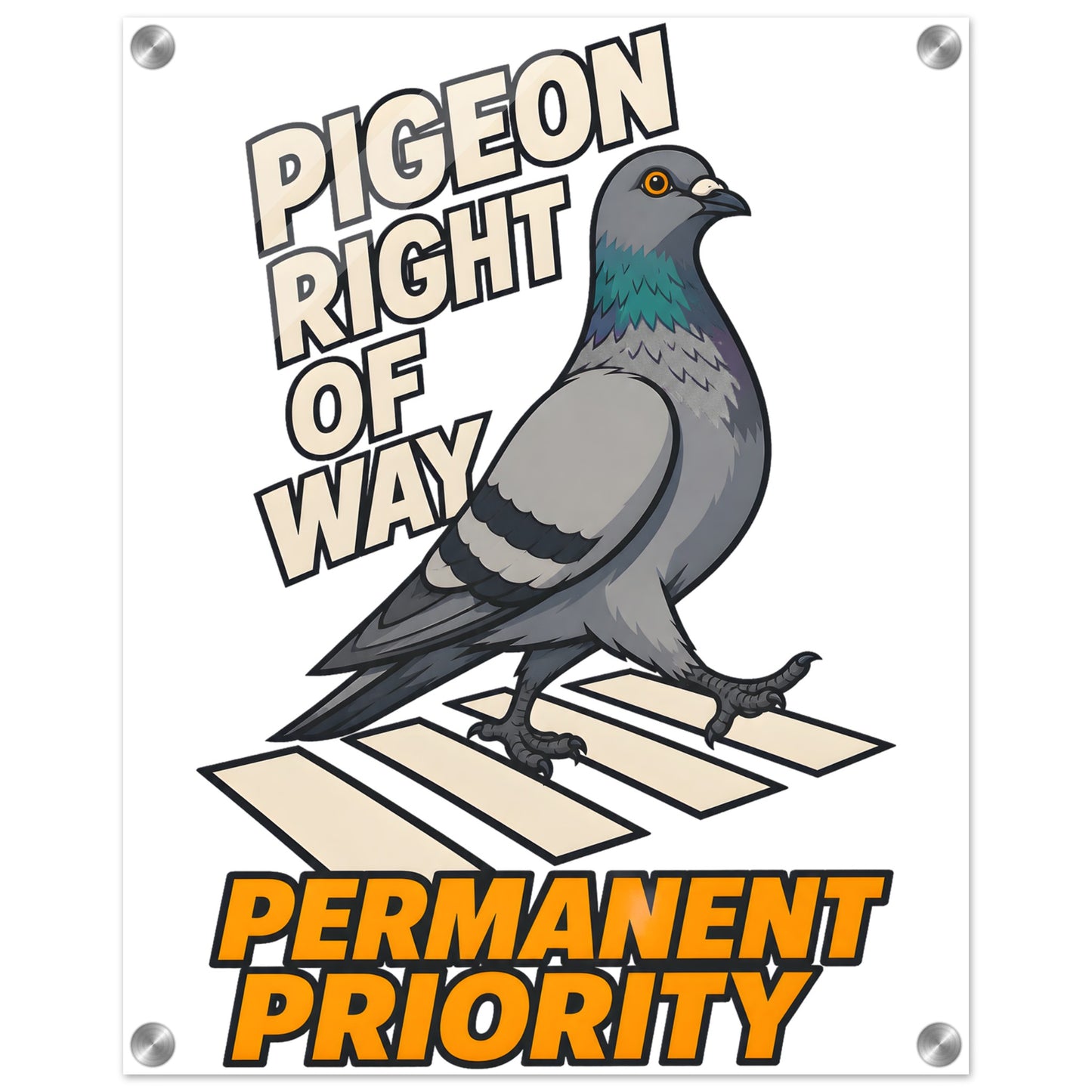 Pigeon Right of Way Acrylic Print — product view 2