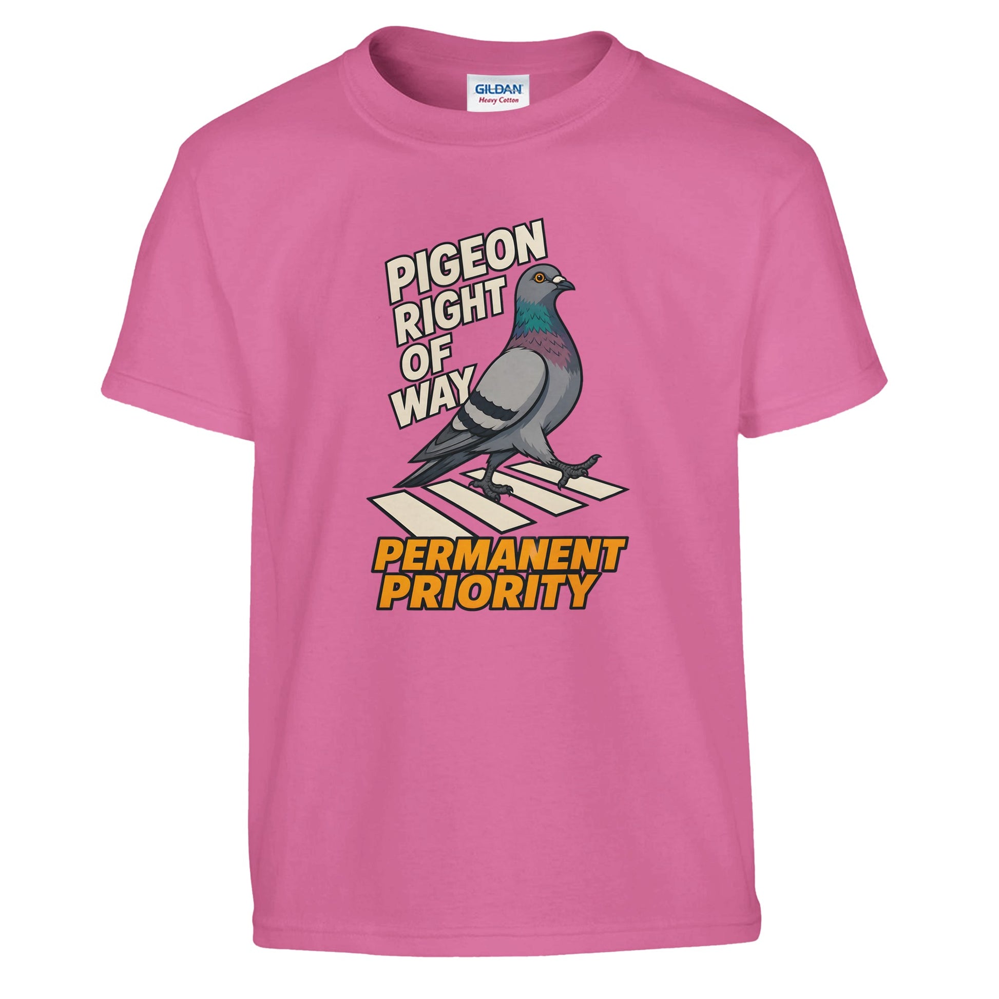 Pigeon Right of Way Kids' T-shirt — product view 9